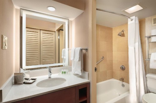 Holiday Inn Austin -Town Lake an IHG Hotel - image 21
