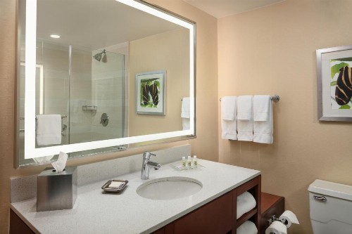 Holiday Inn Austin -Town Lake an IHG Hotel - image 27