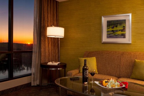 Holiday Inn Austin -Town Lake an IHG Hotel - image 30
