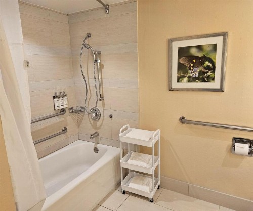 Holiday Inn Austin -Town Lake an IHG Hotel - image 7
