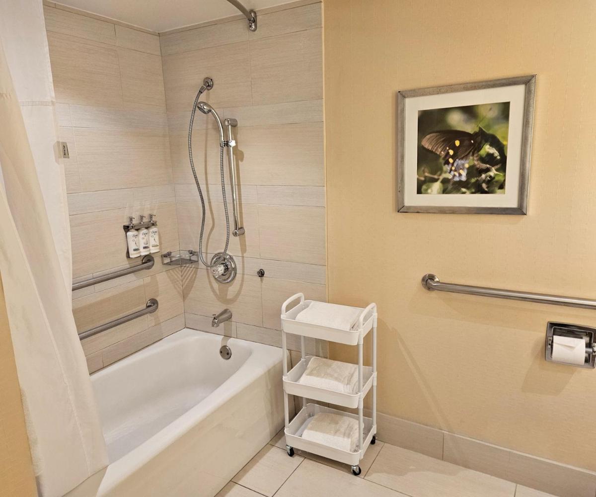Holiday Inn Austin -Town Lake an IHG Hotel - image 7