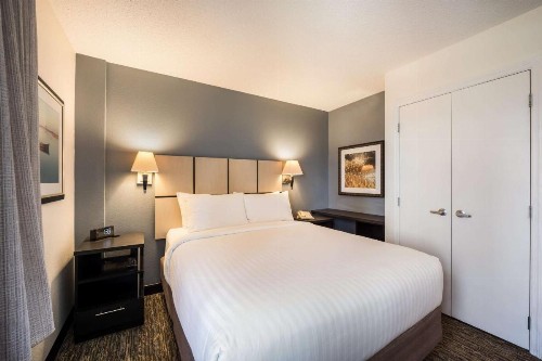 Sonesta Simply Suites Austin The Domain Area - image 7