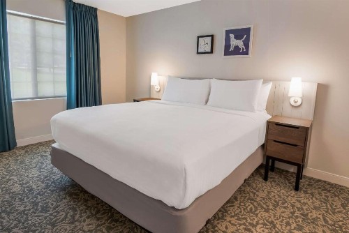 Sonesta ES Suites Austin The Domain Area - image 11