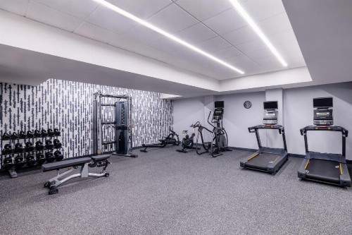 Holiday Inn Express Hotel & Suites Austin Airport an IHG Hotel - image 10