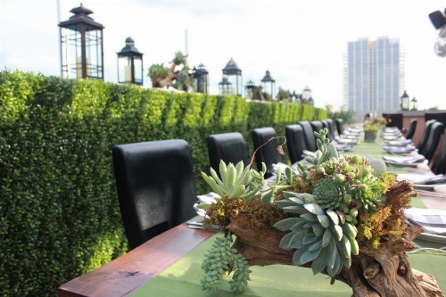 Residence Inn Austin Downtown / Convention Center - image 33