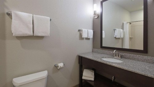 Best Western PLUS Austin Airport Inn & Suites - image 23