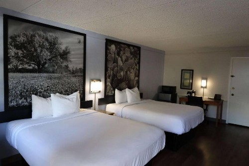 La Quinta Inn & Suites by Wyndham Austin South / Ih35 - image 5