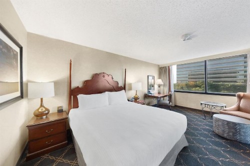 Austin Southpark Hotel - image 16