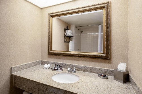 Austin Southpark Hotel - image 4