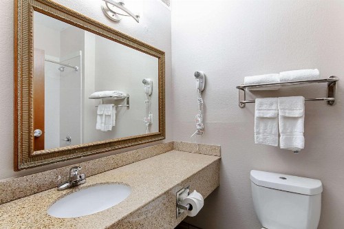 Quality Suites - image 21
