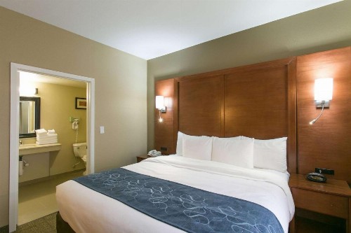 Comfort Suites Austin NW Lakeline - image 17
