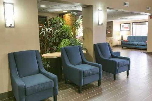 Comfort Suites Austin NW Lakeline - image 18