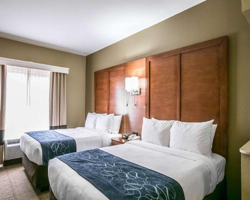 Comfort Suites Austin NW Lakeline - image 24