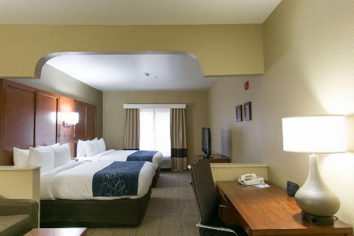 Comfort Suites Austin NW Lakeline - image 33