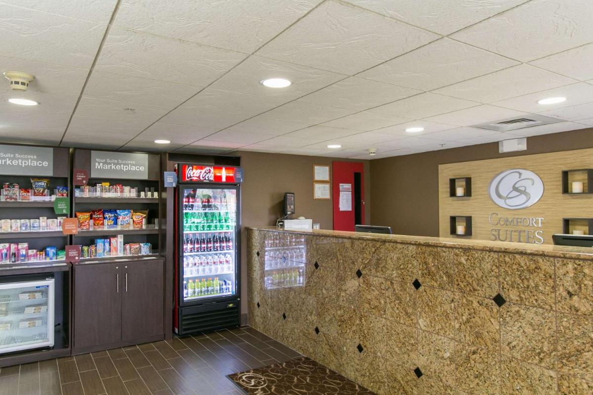 Comfort Suites Austin NW Lakeline - image 4
