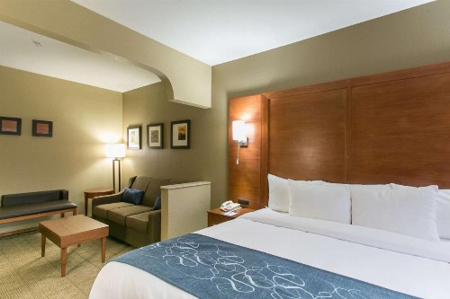 Comfort Suites Austin NW Lakeline - image 9