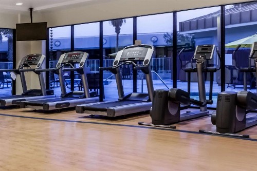 Wyndham Garden Austin - image 6