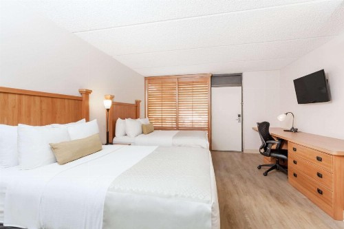 Wyndham Garden Austin - image 8
