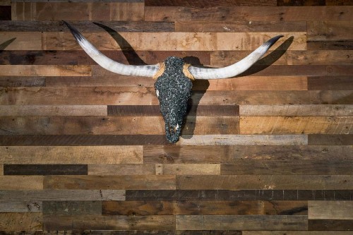 Renaissance Austin Hotel - image 32