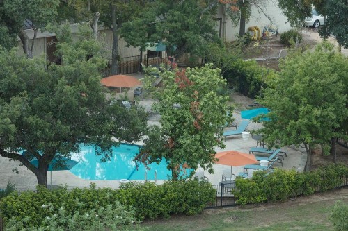 Holiday Inn Austin Midtown an IHG Hotel - image 17