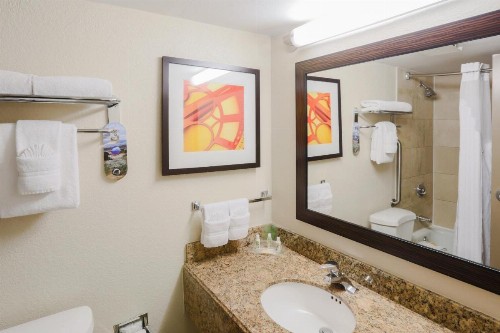 Holiday Inn Austin Midtown an IHG Hotel - image 4