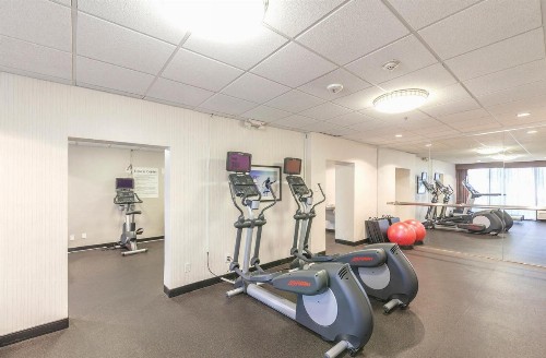 Holiday Inn Austin Midtown an IHG Hotel - image 6