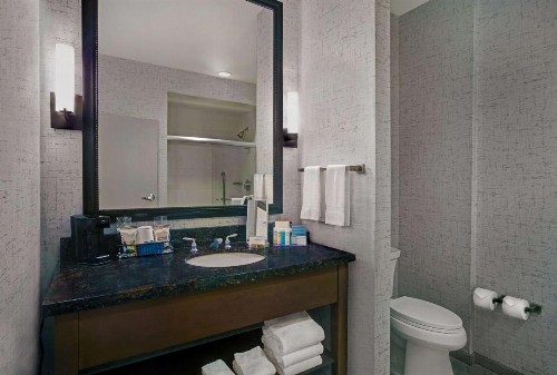 Hampton Inn and Suites Austin University Capitol - image 36