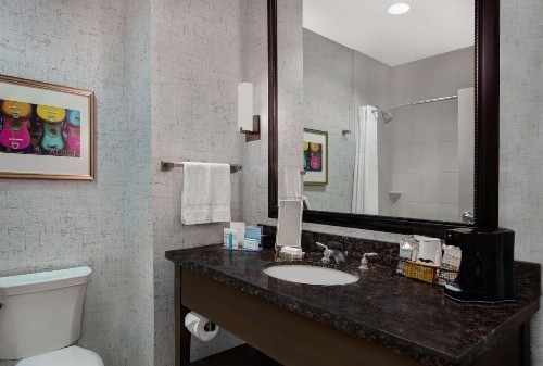 Hampton Inn and Suites Austin University Capitol - image 40