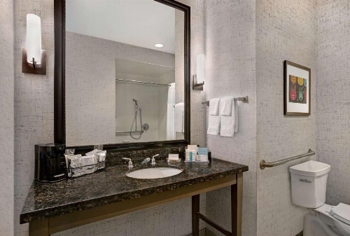 Hampton Inn and Suites Austin University Capitol - image 41
