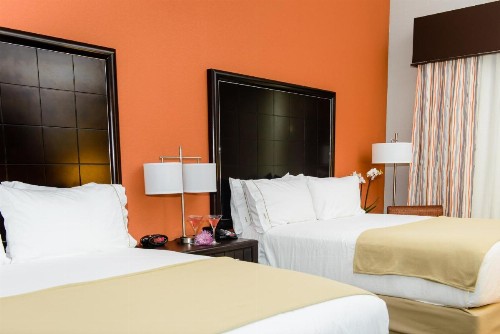 Holiday Inn Express Hotel & Suites Austin NW - Arboretum Area an IHG Hotel - image 19