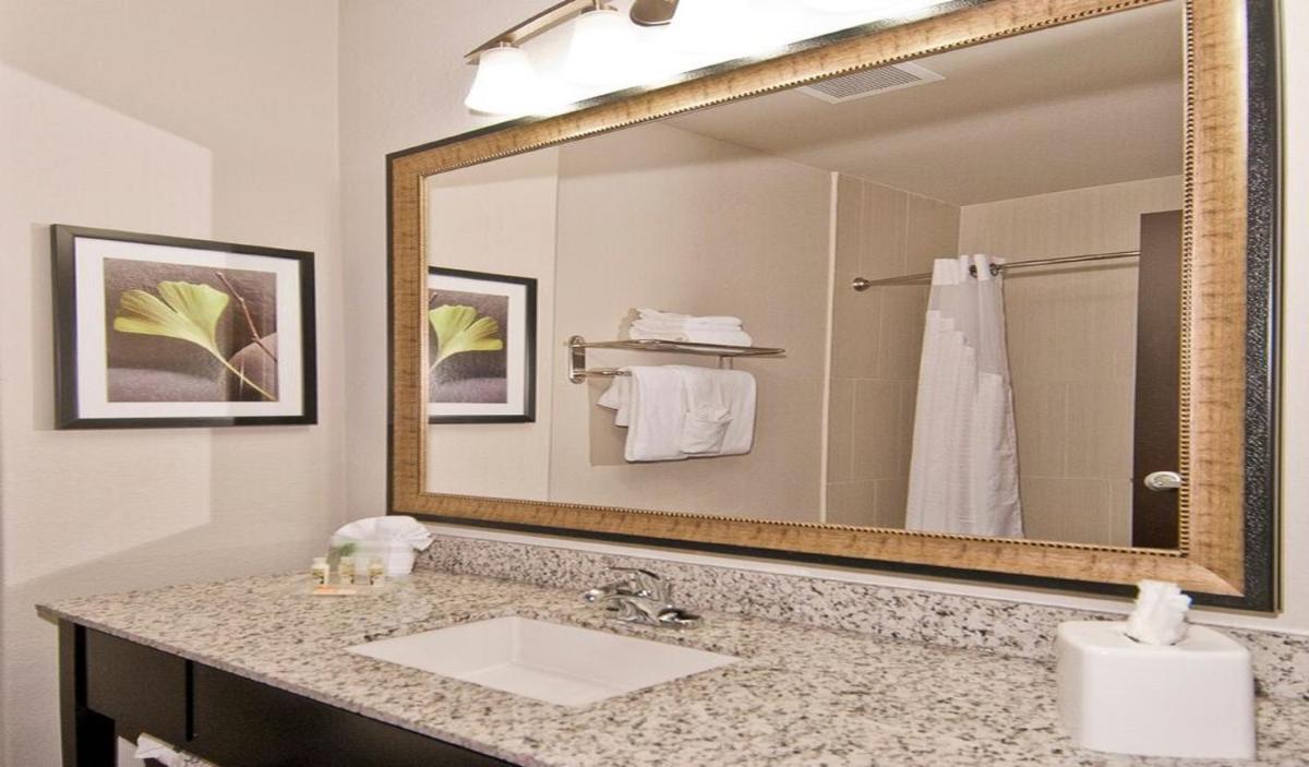 Holiday Inn Austin Airport an IHG Hotel - image 2