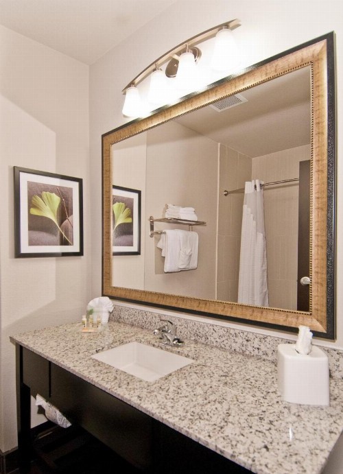 Holiday Inn Austin Airport an IHG Hotel - image 24