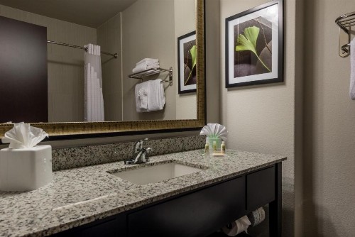 Holiday Inn Austin Airport an IHG Hotel - image 38