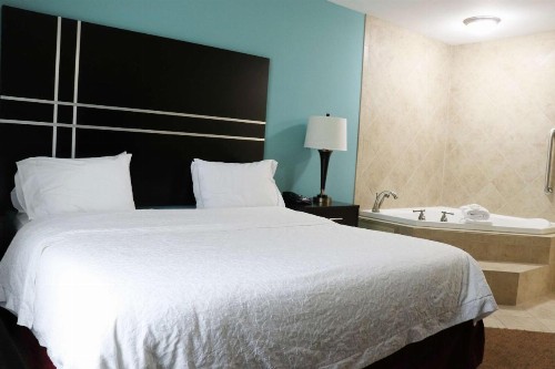 Hampton Inn Austin Oak Hill - image 11