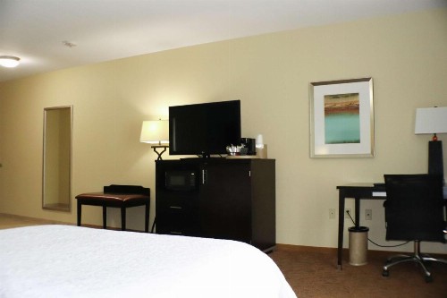 Hampton Inn Austin Oak Hill - image 15