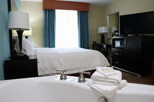 Hampton Inn Austin Oak Hill - image 2