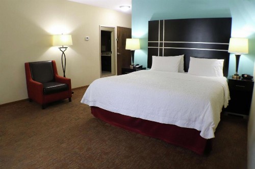 Hampton Inn Austin Oak Hill - image 28