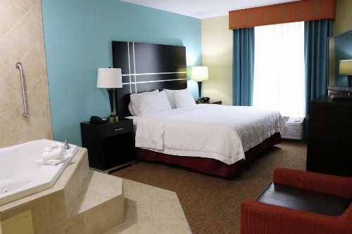 Hampton Inn Austin Oak Hill - image 4