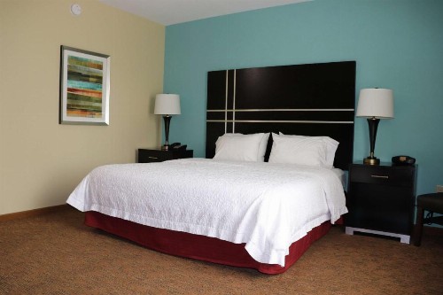 Hampton Inn Austin Oak Hill - image 7