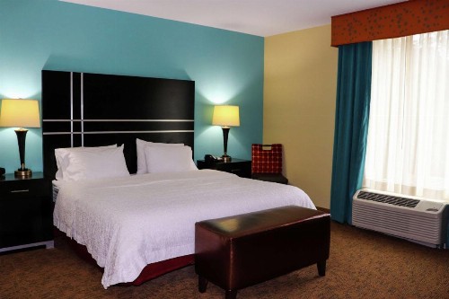 Hampton Inn Austin Oak Hill - image 9