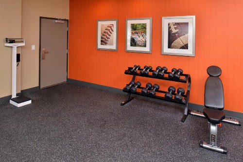 Holiday Inn Express & Suites Austin South an IHG Hotel - image 4