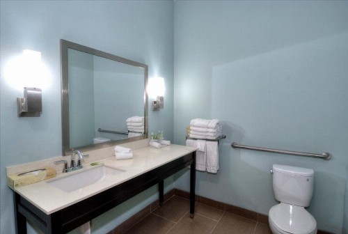 Holiday Inn Express & Suites Austin South an IHG Hotel - image 46