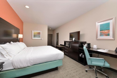 Holiday Inn Express & Suites Austin South an IHG Hotel - image 49