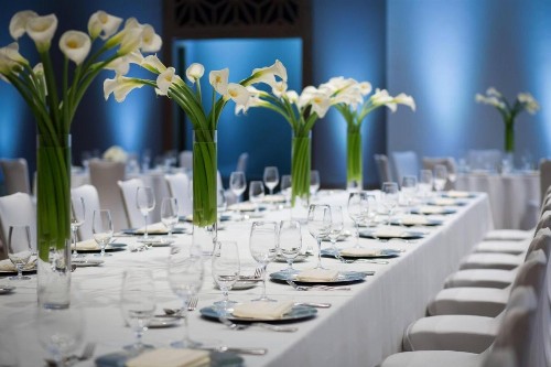 JW Marriott Austin - image 47