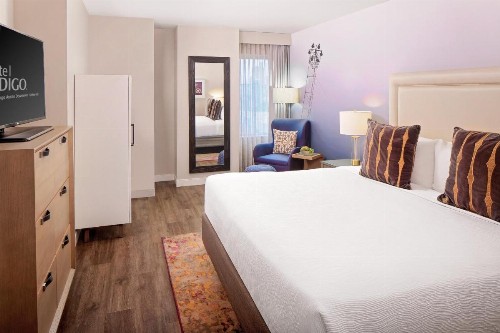 Hotel Indigo Austin Downtown an IHG Hotel - image 15