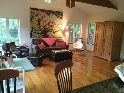 Lake Austin Luxury Guesthouse Cabin & Suite Retreat - image 32