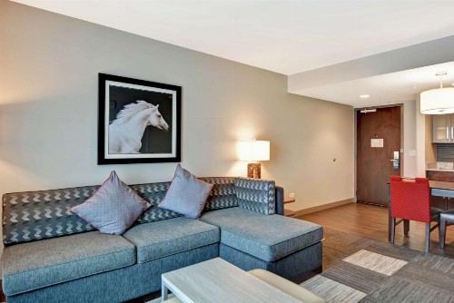 Homewood Suites TechRidge Parmer @ I-35 - image 2