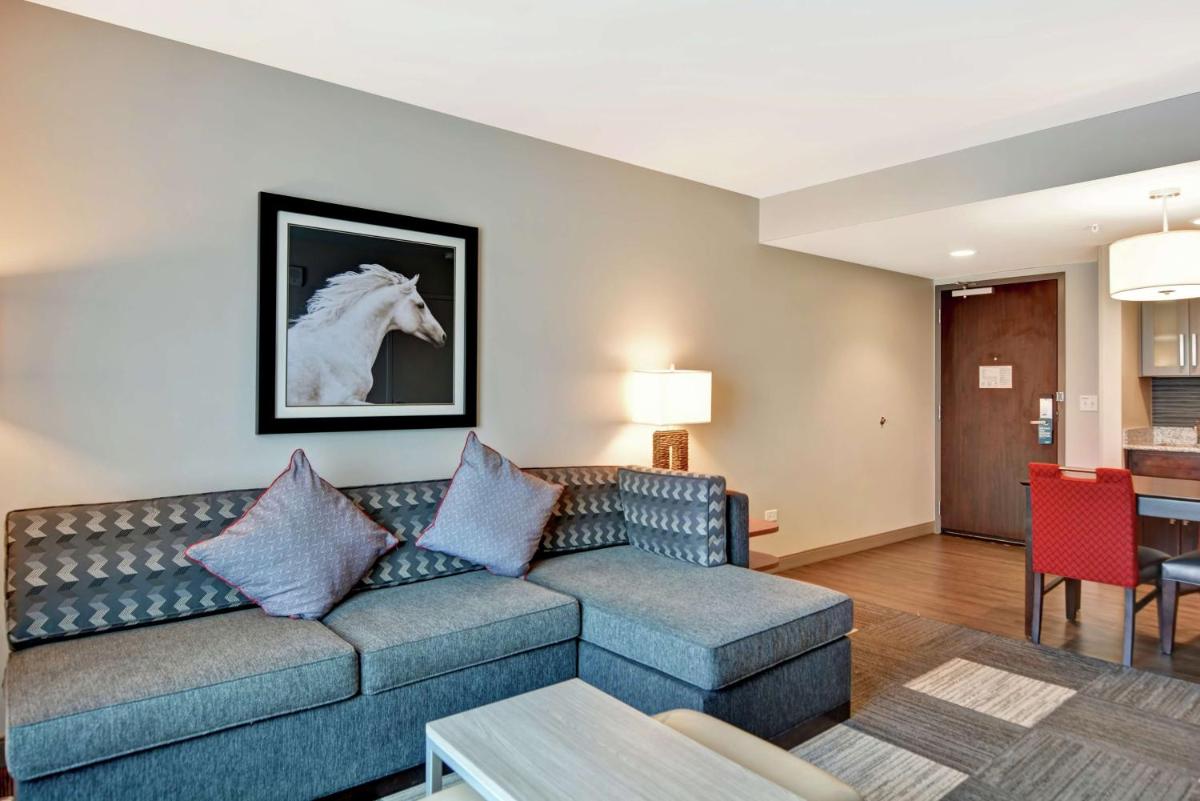 Homewood Suites TechRidge Parmer @ I-35 - image 2