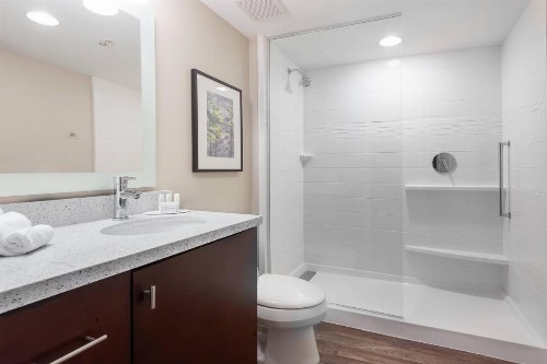 TownePlace Suites by Marriott Austin Parmer/Tech Ridge - image 15