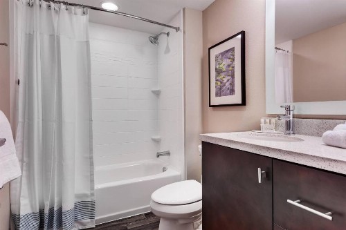 TownePlace Suites by Marriott Austin Parmer/Tech Ridge - image 16